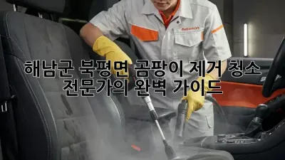 해남군 북평면 곰팡이 제거 청소 전문가의 완벽 가이드