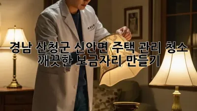경남 산청군 신안면 주택 관리 청소: 깨끗한 보금자리 만들기